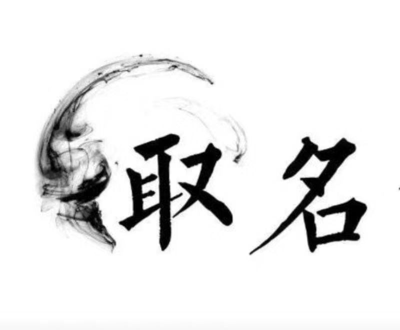  蓬安宝宝取名 大师一对一人工起名